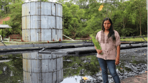 Screen Shot 2019-03-11 at 1.30.17 PM